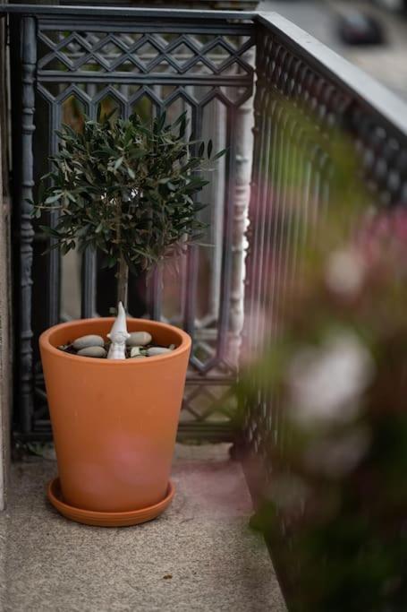 Porto Contemporary Apartment In City Center Buitenkant foto